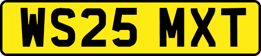 WS25MXT