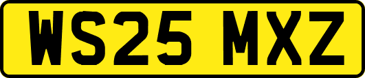 WS25MXZ