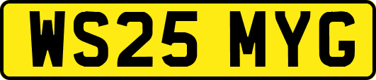 WS25MYG