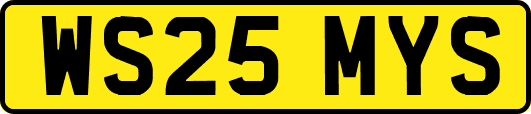 WS25MYS