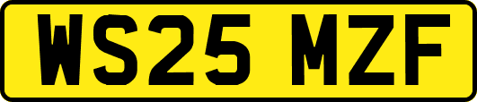 WS25MZF