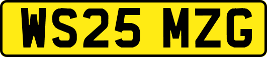 WS25MZG