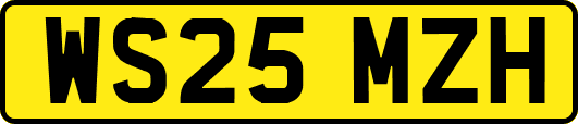 WS25MZH