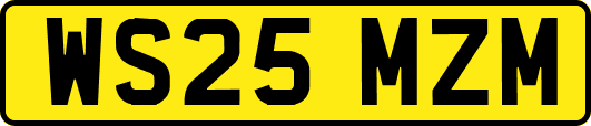 WS25MZM