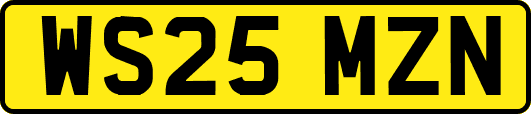 WS25MZN