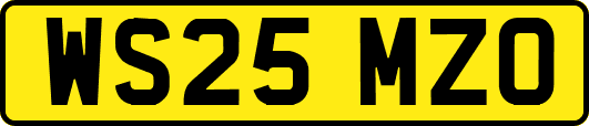 WS25MZO
