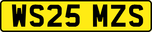 WS25MZS