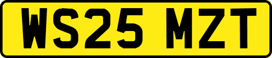 WS25MZT