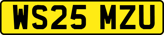 WS25MZU