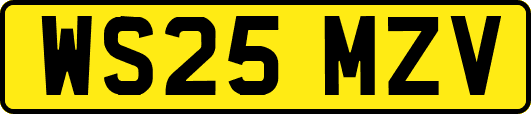 WS25MZV