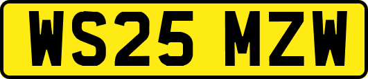WS25MZW