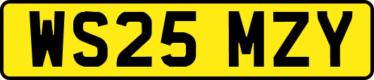 WS25MZY