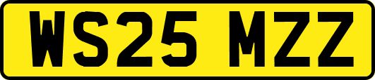 WS25MZZ