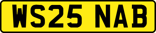 WS25NAB