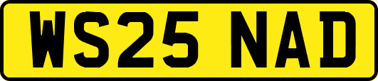 WS25NAD