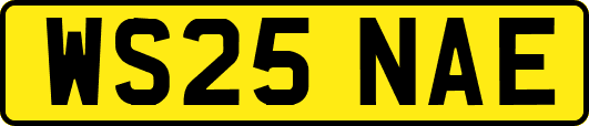 WS25NAE