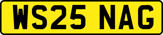 WS25NAG
