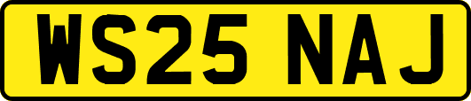 WS25NAJ
