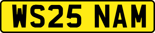 WS25NAM