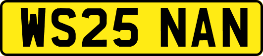WS25NAN