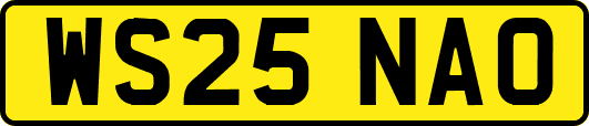 WS25NAO