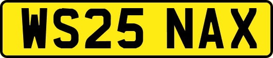 WS25NAX