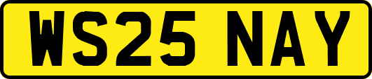 WS25NAY