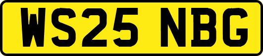 WS25NBG