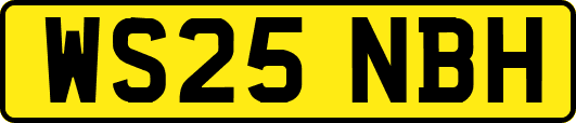 WS25NBH