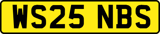 WS25NBS