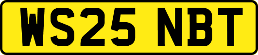 WS25NBT