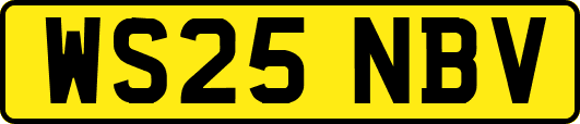 WS25NBV