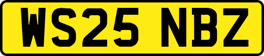 WS25NBZ