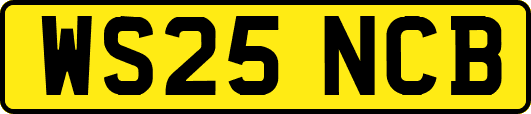WS25NCB