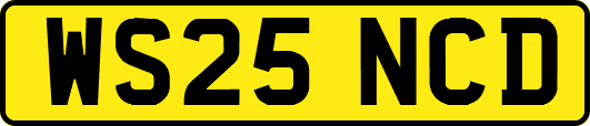 WS25NCD