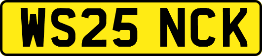WS25NCK