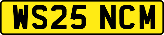 WS25NCM