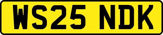 WS25NDK