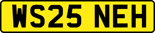 WS25NEH