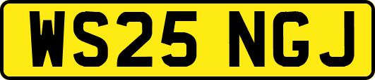 WS25NGJ