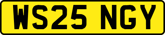 WS25NGY