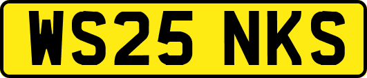 WS25NKS