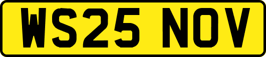 WS25NOV