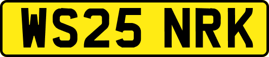 WS25NRK