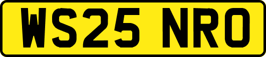 WS25NRO