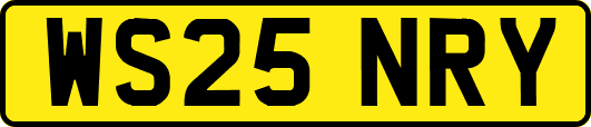 WS25NRY