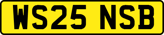 WS25NSB