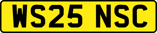 WS25NSC