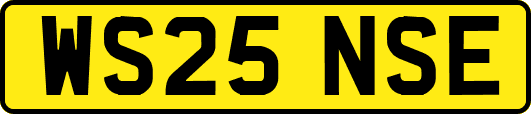 WS25NSE