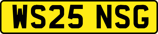 WS25NSG
